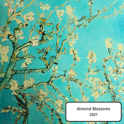 Almond Blossoms