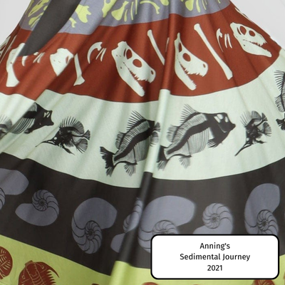 Anning's Sedimental Journey