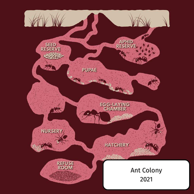 Ant Colony