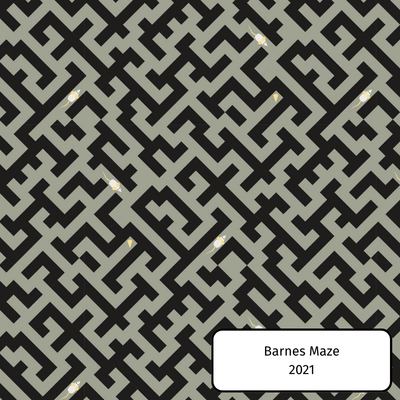 Barnes Maze