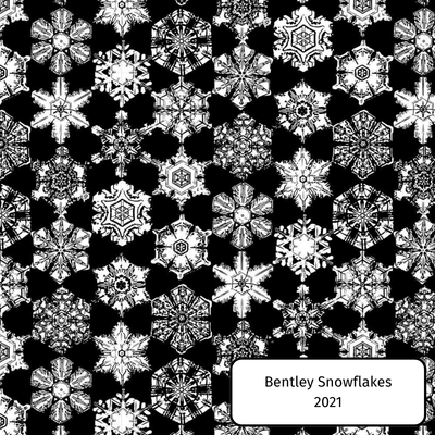 Bentley Snowflakes