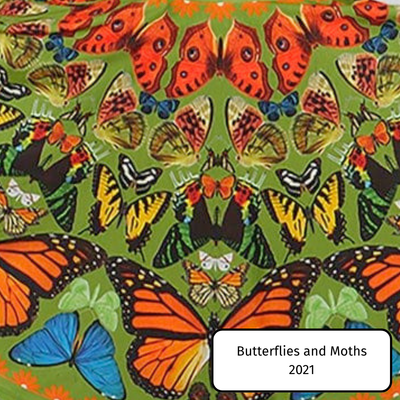Butterflies and Moths