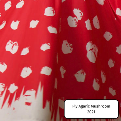 Fly Agaric Mushroom