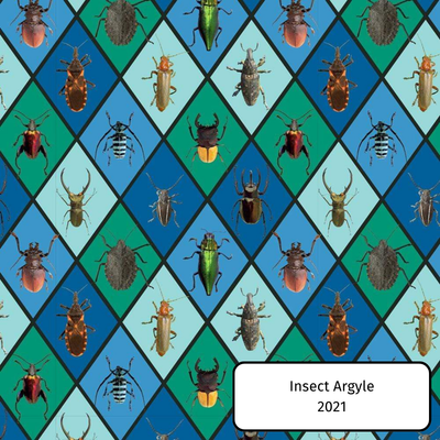 Insect Argyle