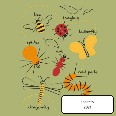 Insects