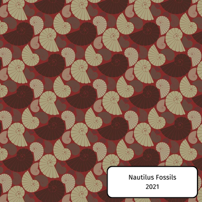 Nautilus Fossils