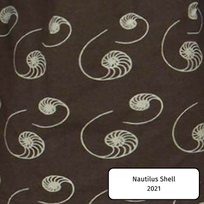 Nautilus Shell