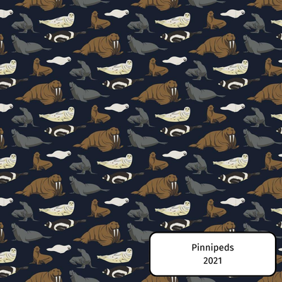 Pinnipeds
