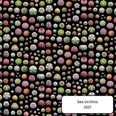 Sea Urchins