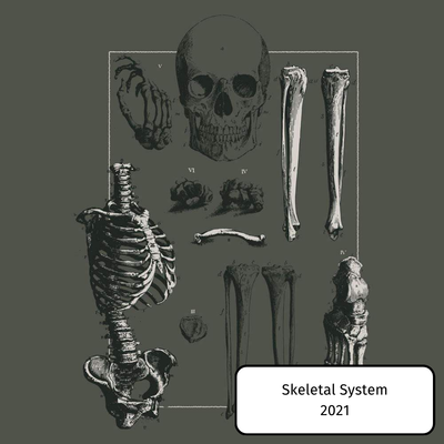 Skeletal System