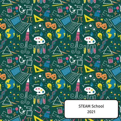 STEAM School