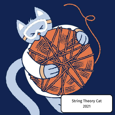 String Theory Cat