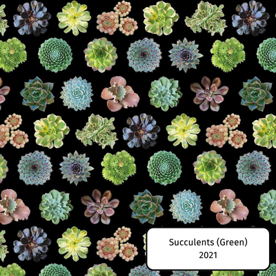 Succulents (Green)