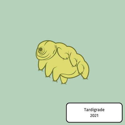 Tardigrade