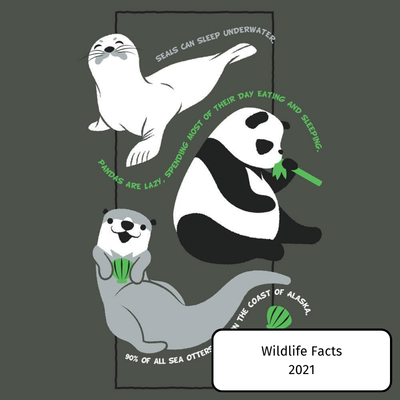Wildlife Facts