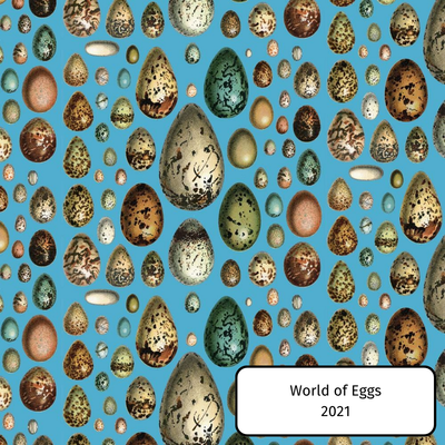 World of Eggs