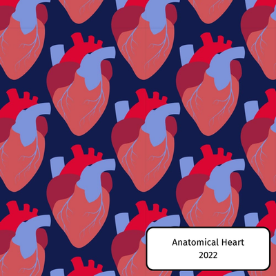 Anatomical Heart