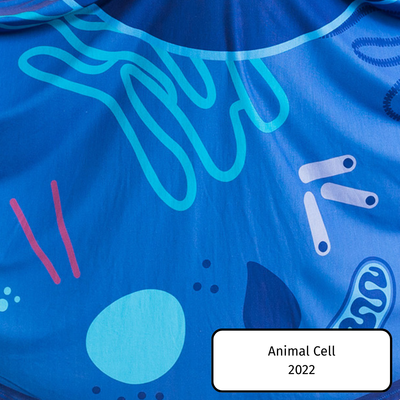 Animal Cell