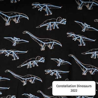 Constellation Dinosaurs