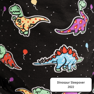 Dinosaur Sleepover