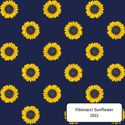 Fibonacci Sunflower