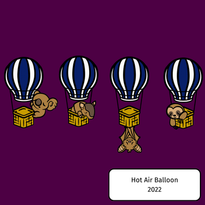 Hot Air Balloon