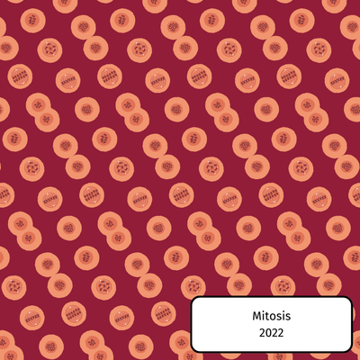 Mitosis