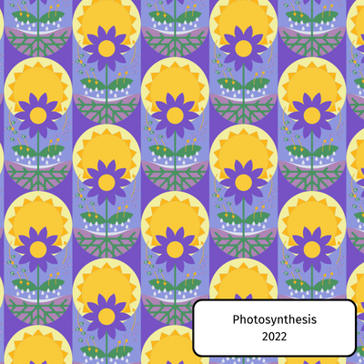 Photosynthesis