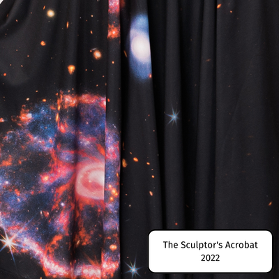 The Sculptor's Acrobat