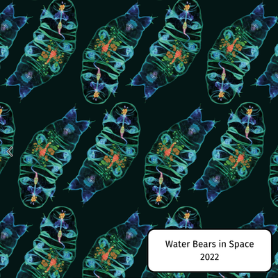 Water Bears in Space