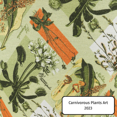 Carnivorous Plants Art