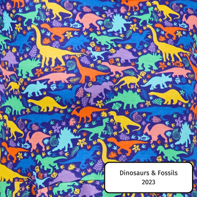 Dinosaurs & Fossils