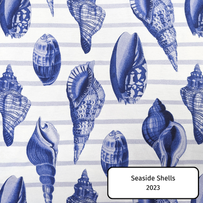 Seaside Shells