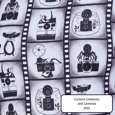 Curious Creatures And Cameras