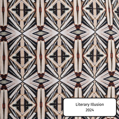 Literary Illusion