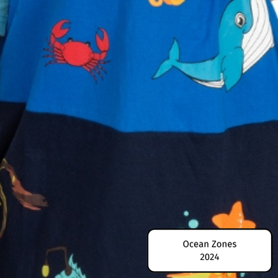 Ocean Zones