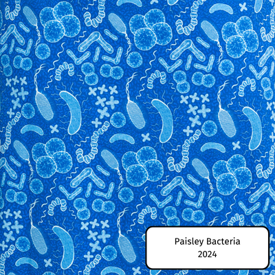 Paisley Bacteria