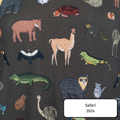 Safari