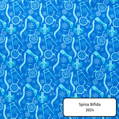 Spina Bifida