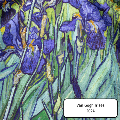 Van Gogh Irises