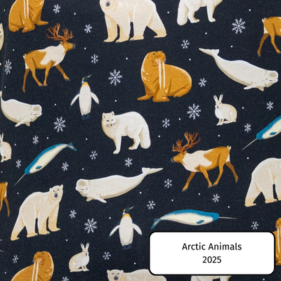 Arctic Animals