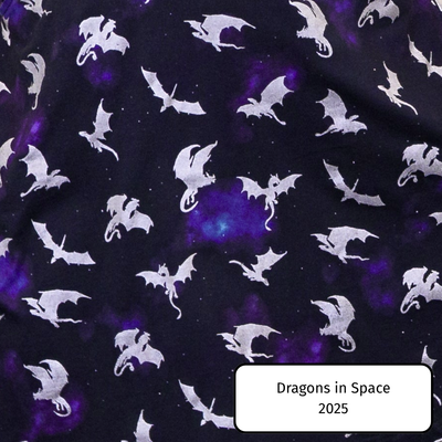 Dragons in Space