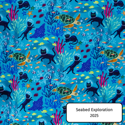Seabed Exploration