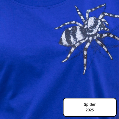 Spider