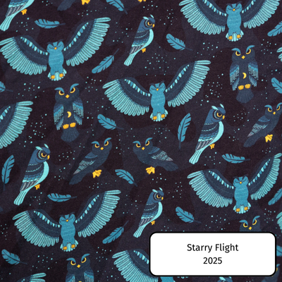 Starry Flight