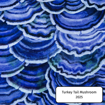 Turkey Tail Mushroom