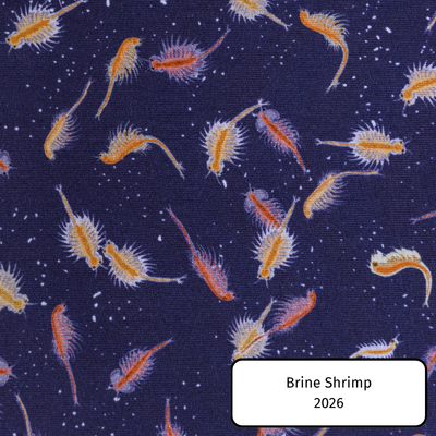 Brine Shrimp