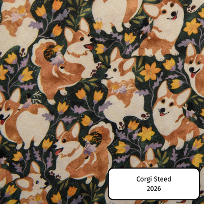 Corgi Steed