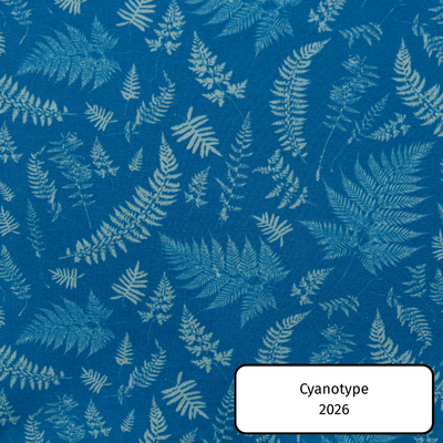 Cyanotype