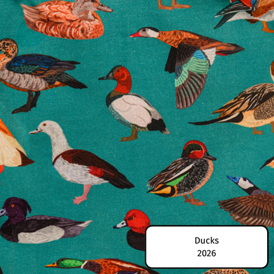 Ducks